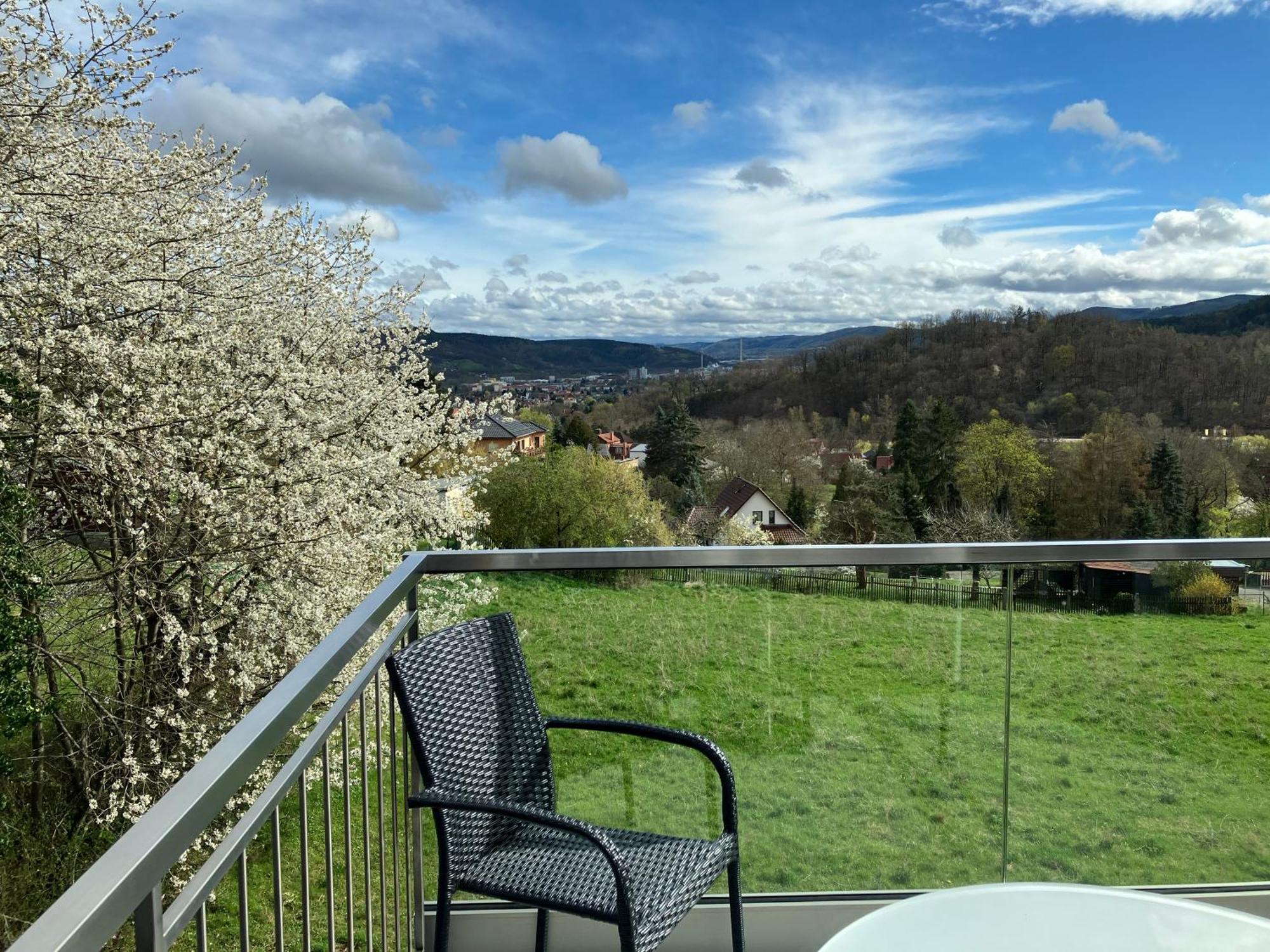 Studioappartment Saaleblick Rudolstadt Exterior photo